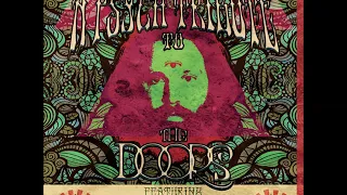 A Psych Tribute To The Doors    (Full Album)