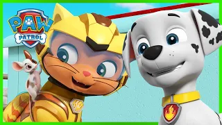 Motorreddingen van PAW Patrol Cat Pack en meer! - PAW Patrol Nederlands