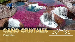 Caño Cristales como nunca lo habías visto