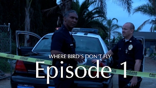 Where Birds Don't Fly: Sereal Killer Web Series Episode 1 [Innocents Lost]