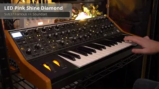 Pink Floyd Shine On You Crazy Diamond Moog Sub 37