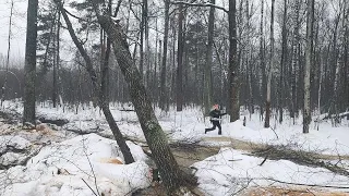 Валка дерева не повторять