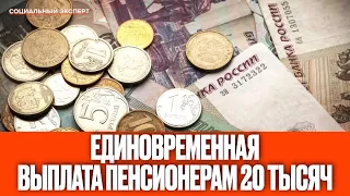 Единовременная выплата пенсионерам 20 тысяч рублей