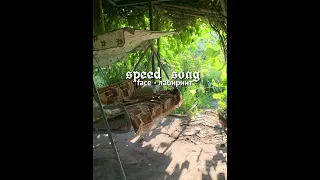 face - лабиринт // speed song