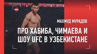 МАХМУД МУРАДОВ: Хабиб / бой с Чимаевым / пиво от Гейджи / турнир UFC в Узбекистане