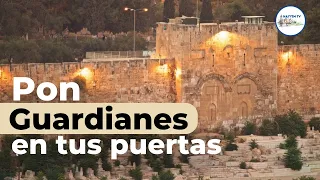 Pon guardianes en tus puertas   Rab Dan ben Avraham | Parasha SHOFTIM JUECES