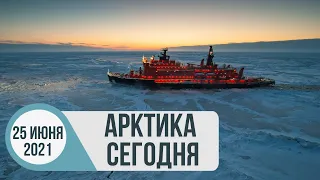 Арктика сегодня: «Арктический гектар», развитие Северного морского пути