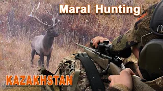 Maral Hunting in Kazakhstan // Chasse au Maral au Kazakhstan // 2020