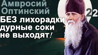 Какие Псалмы читать при Напастях и Скорбях? Амвросий Оптинский Ч22