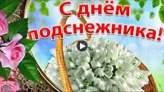 День ПОДСНЕЖНИКА Красивые поздравления С Днем подснежника Музыкальная видео открытка music postcard