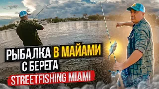 STREETFISHING MIAMI. РЫБАЛКА в МАЙАМИ. ТАКОГО Я НЕ ОЖИДАЛ. BassProShop. ЛИЦЕНЗИЯ ДЛЯ РЫБАЛКИ ФЛОРИДА