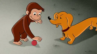 Georges le Petit Singe 🐵 Un Chien Effrayé 🐵 Dessins Animés