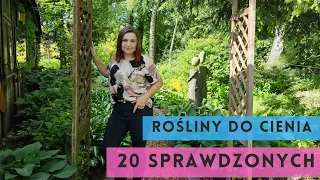 20 SPRAWDZONYCH roślin do CIENIA