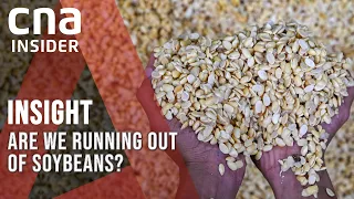 Soybeans: The Unexpected Crop Behind Rising Food Prices | Insight | Full Episode