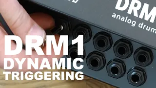 VERMONA DRM mkIV - DYNAMIC TRIGGERING