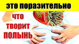 ТРАВА Долголетия Творит Чудеса, ПАРАЗИТЫ  Боятся ЕЕ, как Огня, Всего 1 ложка и организм ...топ5хайп