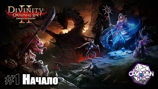 Divinity: Original Sin 2 - Начало