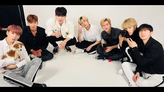 BUZZFEED - Entrevista Monsta X brincando com cachorrinhos [LEG PT-BR]