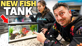 SURPRISING Our MOM With Her DREAM BETTA FISH AQUARIUM!!