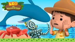 🐳 Best SEA ANIMALS 🦈 Piranhas, Whales, Mimic Octopus 💦  Leo the Wildlife Ranger | Kids Cartoons
