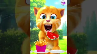 talking ginger 2 funny videos || 🙀😹😿🐈🐒