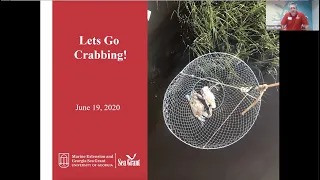 Crabbing 101