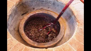 Visiting Georgia's wine regions, pursuing qvevri wines
