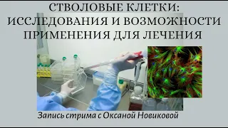 Стволовые клетки: современные возможности лечения и риски