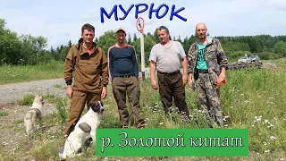 Рыбалка на слиянии рек Золотой Китат и Мурюк.