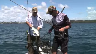 Whiting Fishing Sydney Harbour