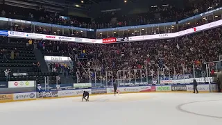 Dave Sutter rappelé par les Fans