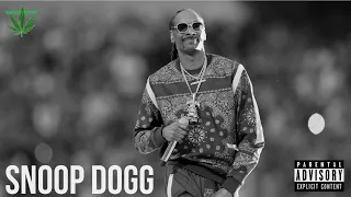 Snoop Dogg - Best Songs Every Time | 2023