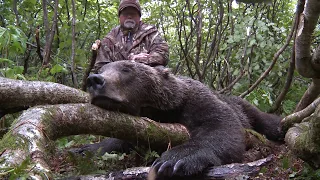 Tom Wilson's Alaska Brown Bear Hunt