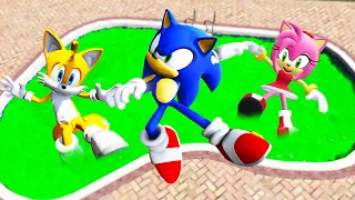 GTA 5 Sonic the Hedgehog Team Jumping Into Toxic Pool (Ragdolls/Euphoria Physics)