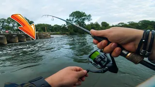 UK River fishing with lures for pike and other species | Thames Lure fishing for trout, perch, pike