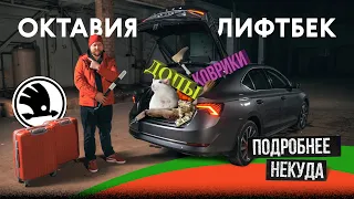 Октавия лифтбек — цена кусается!