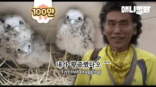 Man Who Changed A Kestrel To A Dog