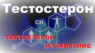 Тестостерон 5. Тестостерон и ожирение