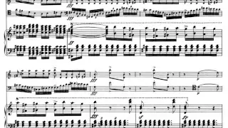 Schubert - Piano Trio in E-flat D929 - II. Andante con moto (with score)