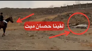 طلعنا رحلة بالخيل وتفاجئنا بالعاصفة😱😱 الخيل خافت ايش تتوقعون لقينا؟🤔