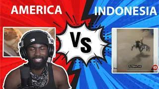 Funniest Moment When Cat Scared Vs. Parodi Meme Pesona Indonesia Reaction