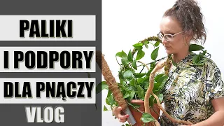 Paliki i podpory pod PNĄCE rośliny doniczkowe 🌱VLOG 🌱