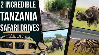 SAFARI Of  Lifetime In TANZANIA | Tarangire & Nogorongo Crater Game Drives!