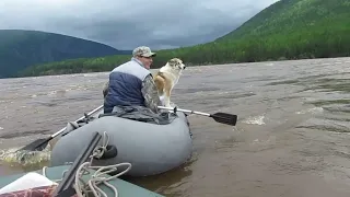 Сплав в большую воду на ПВХ лодках. Витим.