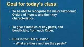 Introduction to Entomology - Part I