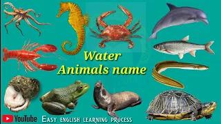 Water animals name In English And Hindi | Sea animals name With Pdf | जल में रहने वाले जंतुओं के नाम