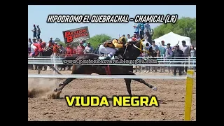 VIUDA NEGRA, Hip  El Quebrachal - Chamical (29-09-19)