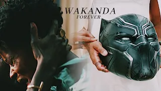 Black Panther Wakanda Forever || No Woman No Cry