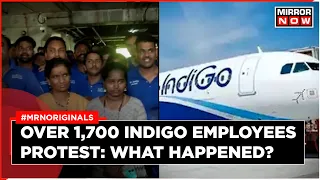 Indigo Protest News | Indigo Ground Staffs Allege Harassment By Authorities | English News |Top News