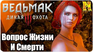 The Witcher 3: Wild Hunt Прохождение №57 Вопрос Жизни И Смерти